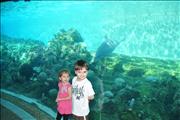 2011-02-25 11-20-25_0674